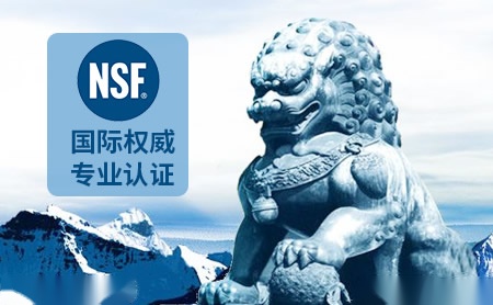 NSF-ISR怎么样