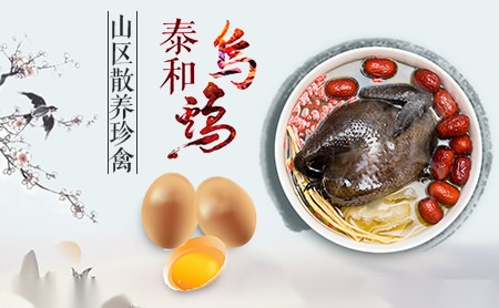 泰和乌鸡怎么样