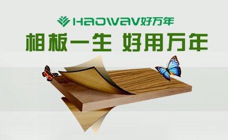 好万年Haowav怎么样