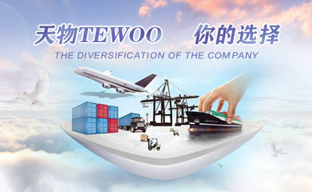 TEWOO天物怎么样