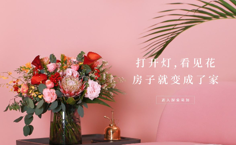 FlowerPlus花加怎么样