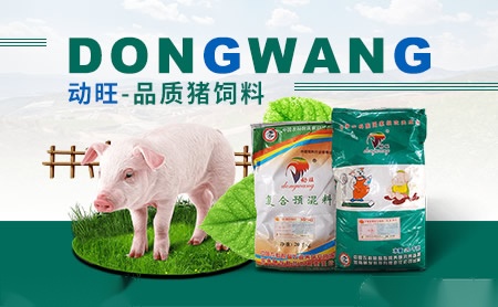 动旺dongwang怎么样