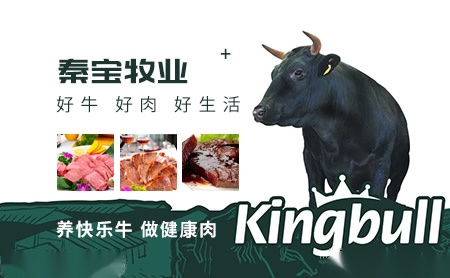 秦宝牧业KINGBULL怎么样