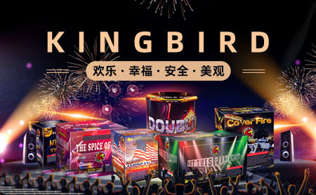 霸鸟KINGBIRD怎么样