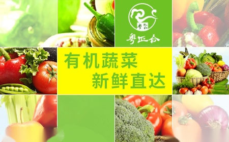 正合食品怎么样