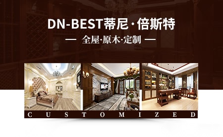 蒂尼·倍斯特DN-BEST怎么样