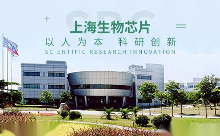 SBC怎么样