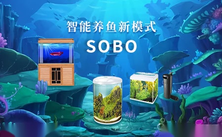 松宝sobo怎么样