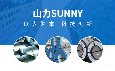 山力SUNNY怎么样