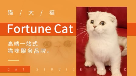 猫大福fortunecat品牌怎么样 品牌大全 外推网品牌管家