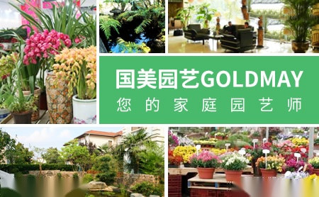 国美园艺Goldmay怎么样