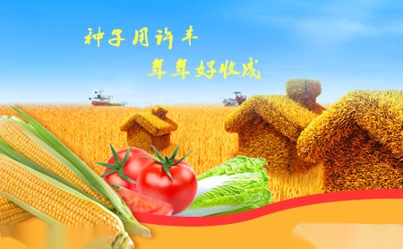 许丰XUFENG怎么样