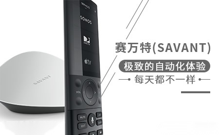 Savant赛万特怎么样