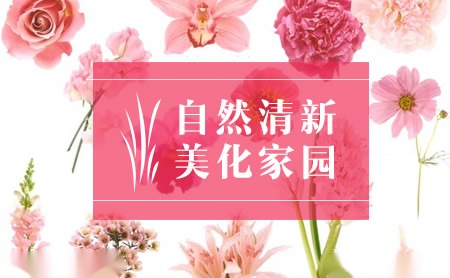 花木怎么样