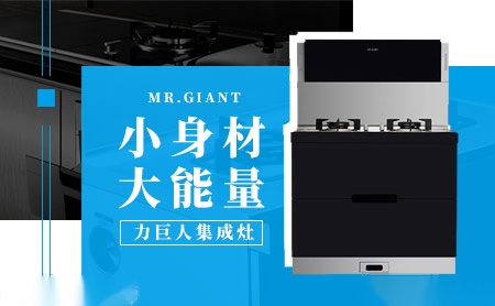 力巨人MR.GIANT怎么样