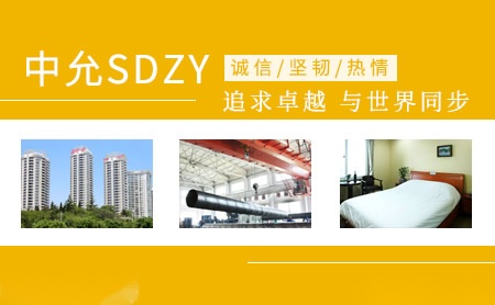 中允SDZY怎么样