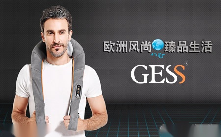 GESS怎么样