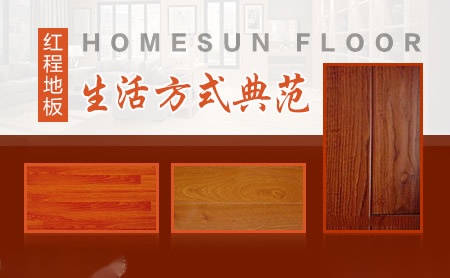 红程HOMESUN怎么样