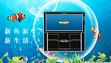 闽江水族MINJIANG怎么样