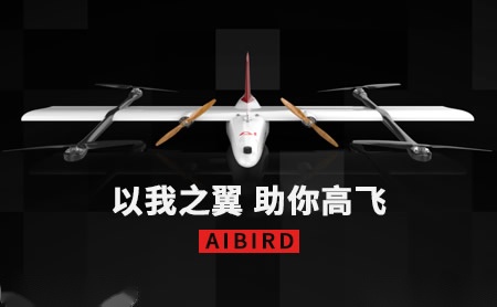 智能鸟AIbird怎么样