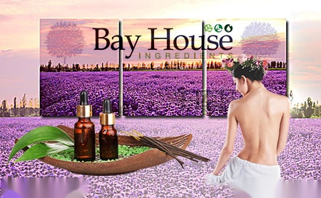 Bay House怎么样