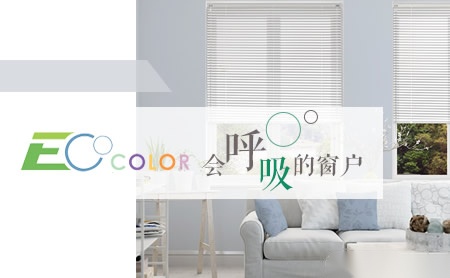 EcoColor怎么样