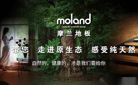 摩兰moland怎么样