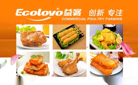 益客Ecolovo怎么样