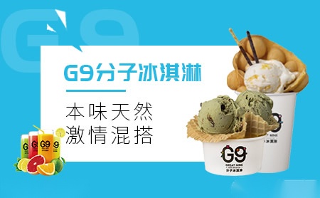 G9怎么样