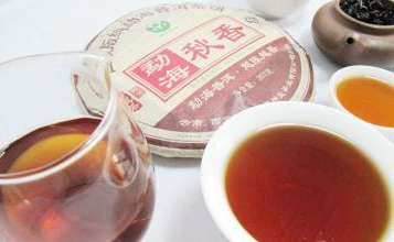 神益茶业怎么样