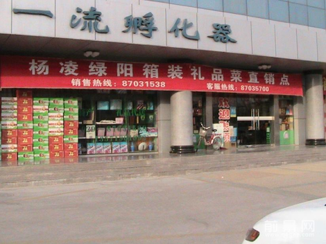 杨凌绿阳礼品菜怎么样