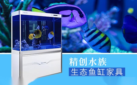 精创水族怎么样