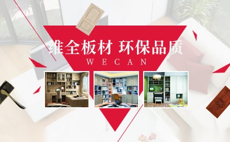 维全WECAN怎么样