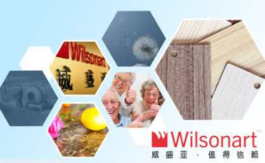 Wilsonaart威盛亚怎么样