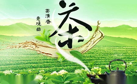 东方茶业怎么样