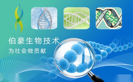 伯豪生物怎么样