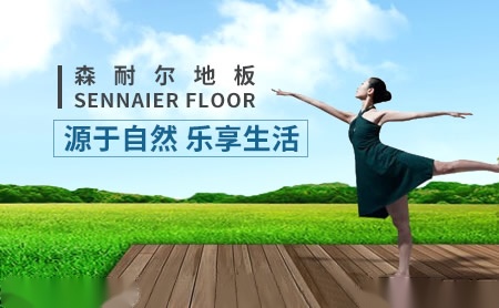 森耐尔SENNAIER怎么样