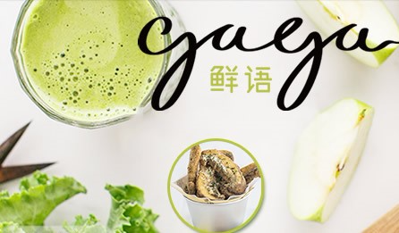 gaga鲜语怎么样