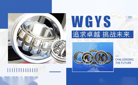 WGYS怎么样