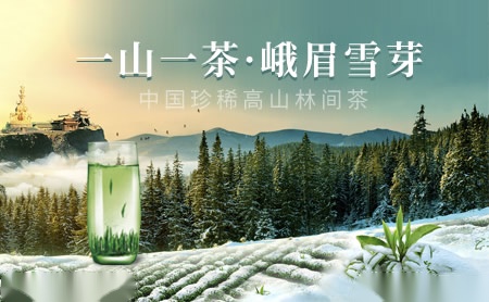 峨眉雪芽怎么样