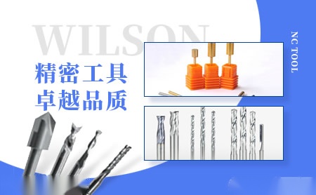 惠而顺Wilson怎么样