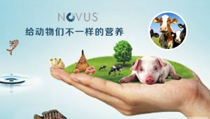 NOVUS诺伟司怎么样