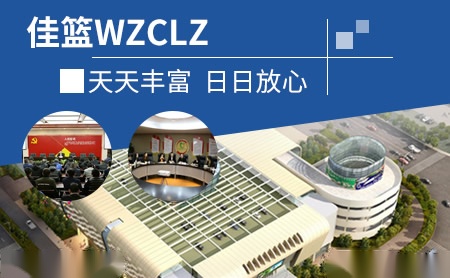 佳篮WZCLZ怎么样