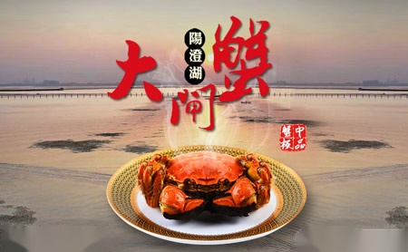 阳澄股份怎么样