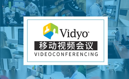 Vidyo怎么样