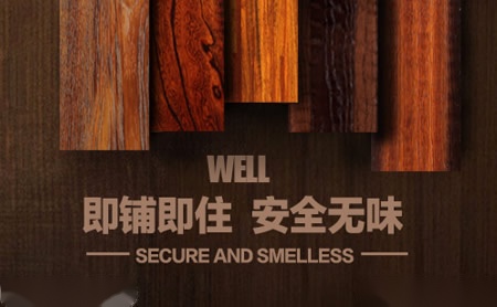 惠尔WELL怎么样