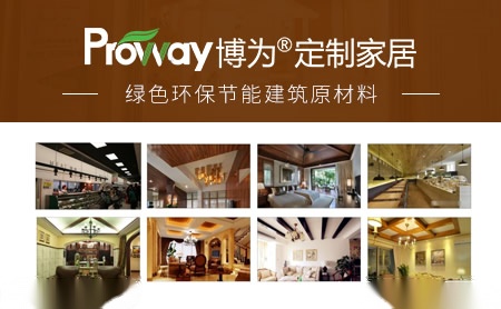 博为Proway怎么样