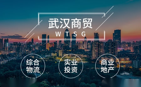 武汉商贸WTSG怎么样