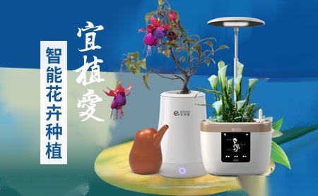 宜植爱ezhiai怎么样