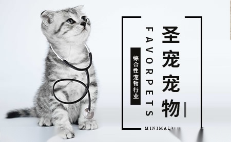 圣宠宠物FAVORPETS怎么样